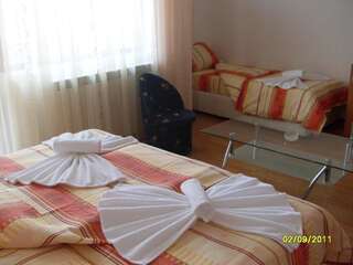 Отель Hotel Gazei Банско Двухместный номер с 1 кроватью или 2 отдельными кроватями-1